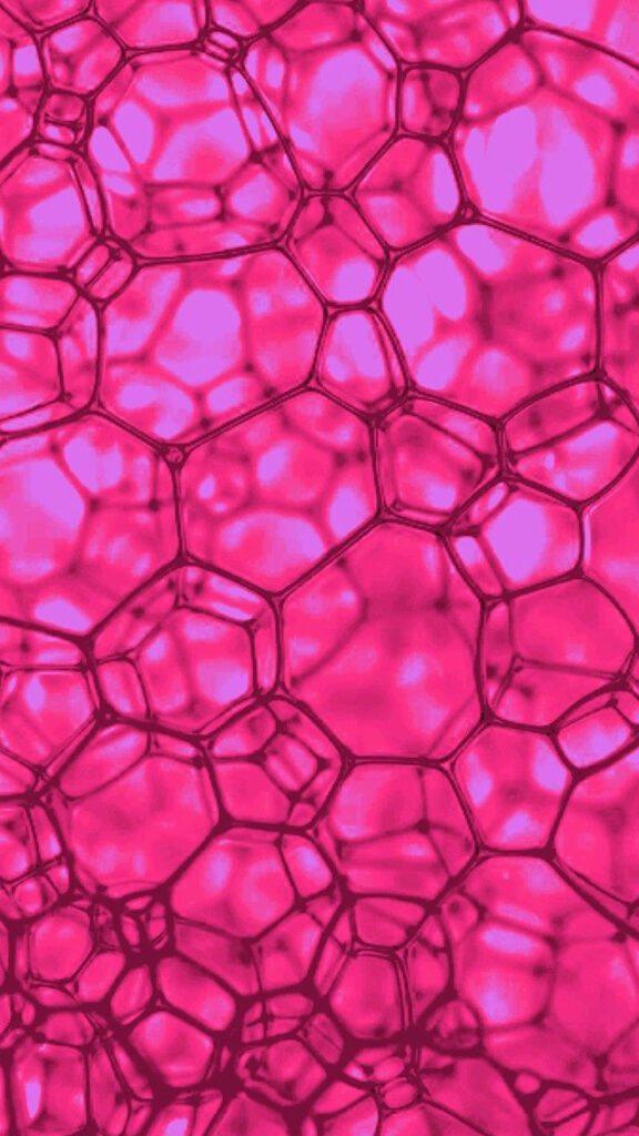 linea bioestimulante cofen