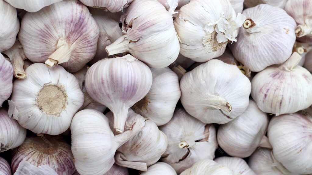 ajo cofen